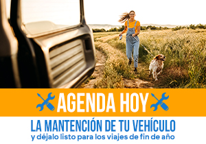 Agenda tu mantencion JIM, Baic, Mahindra, Shineray y SWM